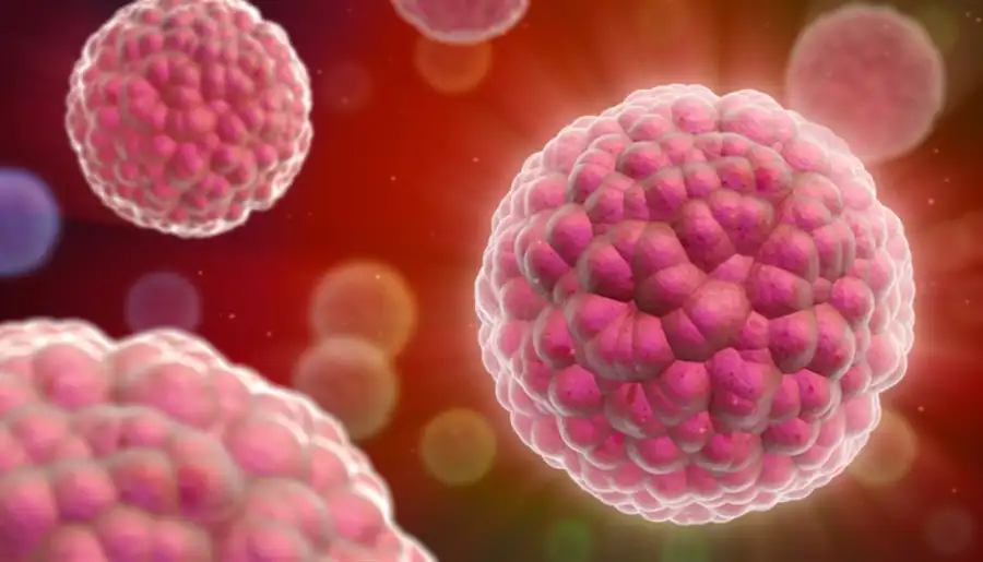 Oncologia del territorio - copertina articolo